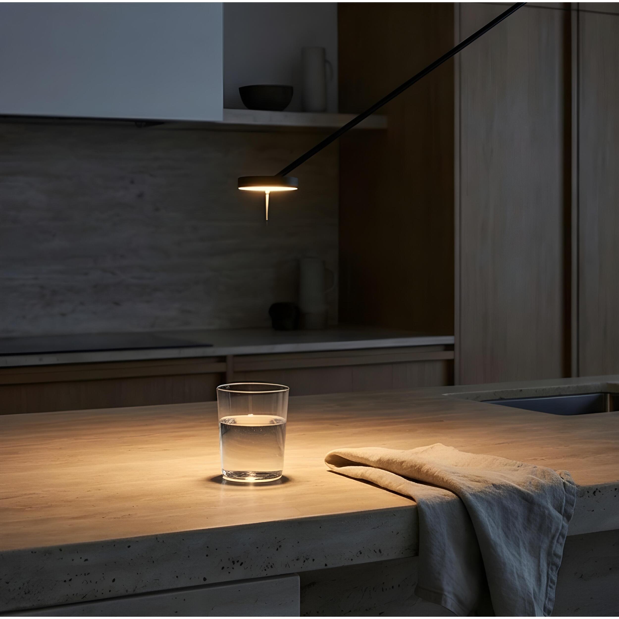 LEDS C4 Colgante Invisible Single Adjustable LED 10.5 Blanco cálido - 3000K PHASE CUT Negro 550lm