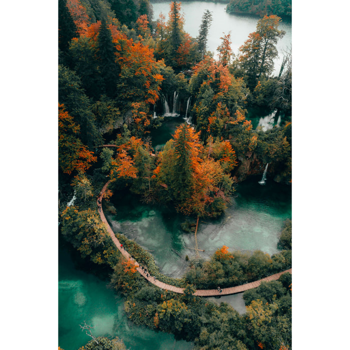 Tableau montagne lac et forêt en automne  Tableau alu Dibond