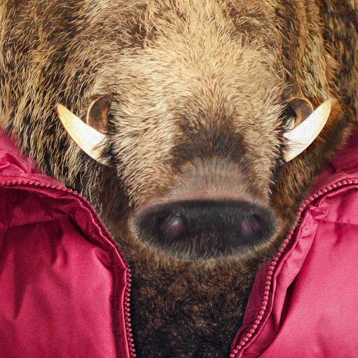 Affiche encadrée sanglier stylé en doudoune Affiche + cadre en métal - Noir