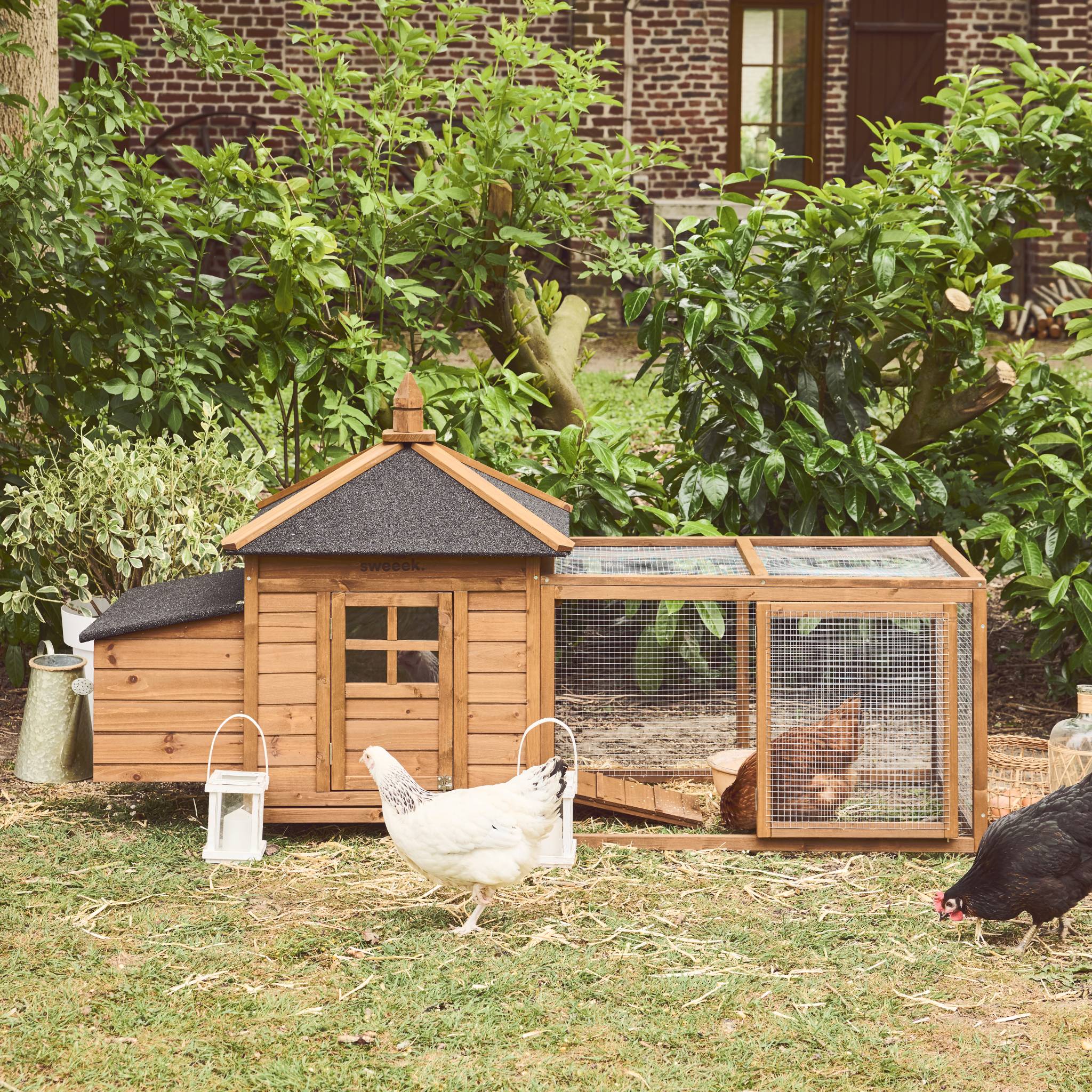 Poulailler en bois JAVA. 4 poules. cage à poule avec enclos