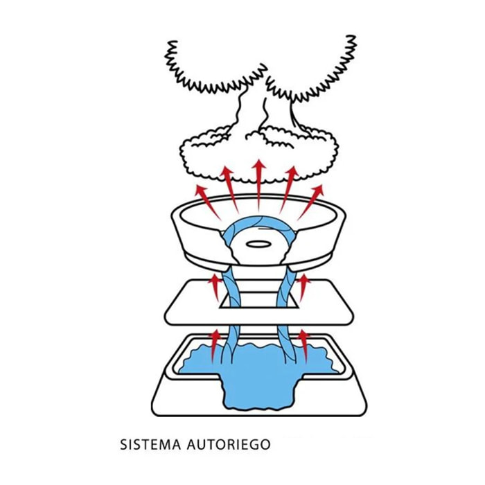 Sistema de auto riego para bonsáis 15 cm