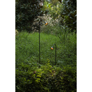 LILY 1190 Lampada pichetto nero