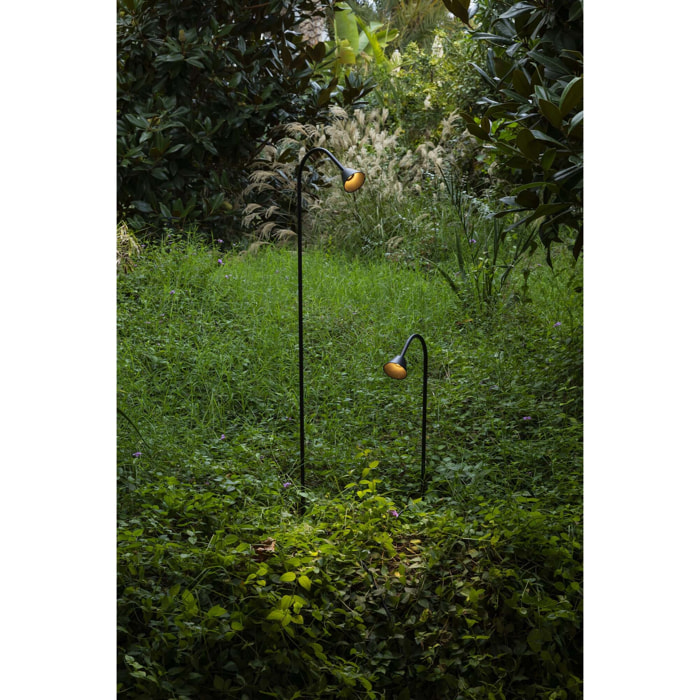 LILY 1190 Lampada pichetto nero