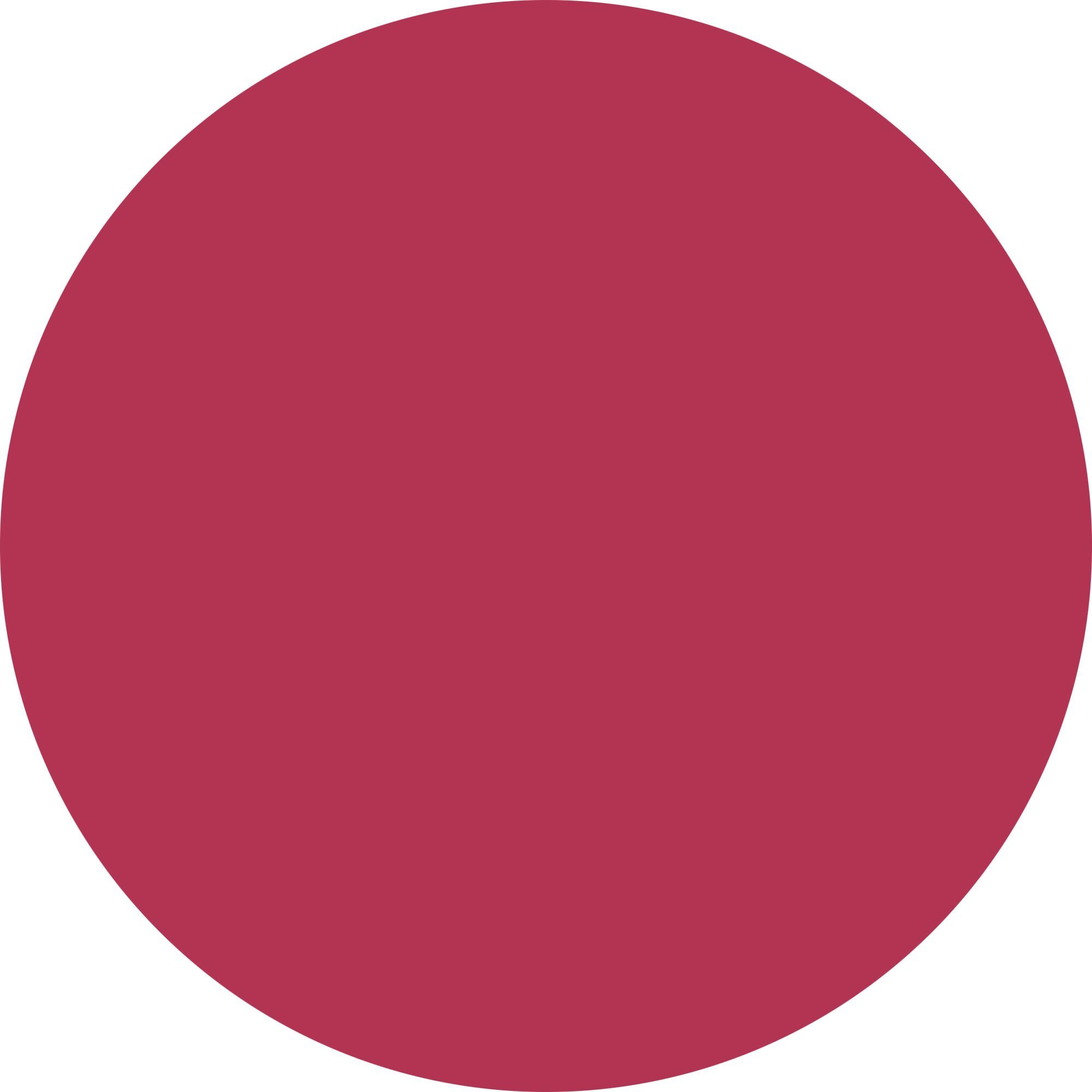 MATT SYMPHONY LIQUID LIPSTICK Rossetto liquido vegan friendly dal finish matt.