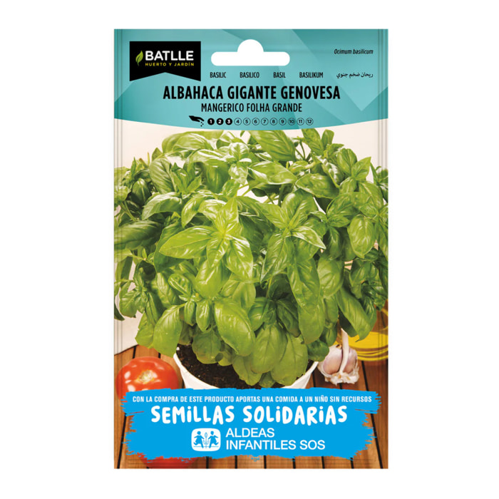 Semillas de Albahaca Gigante Genovesa BatlleBio Aldeas Infantiles