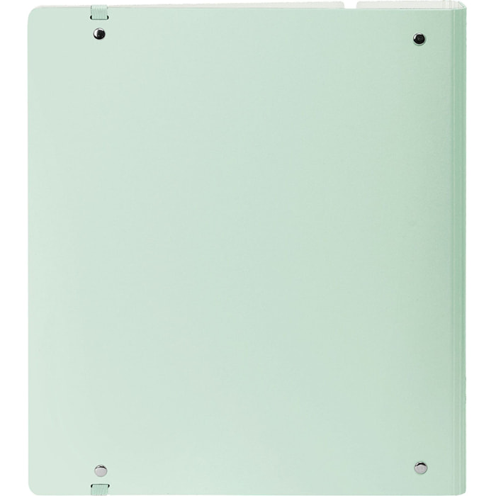 Carpeblock pp foam 4 ani 35mm c/recambio safta "light green"