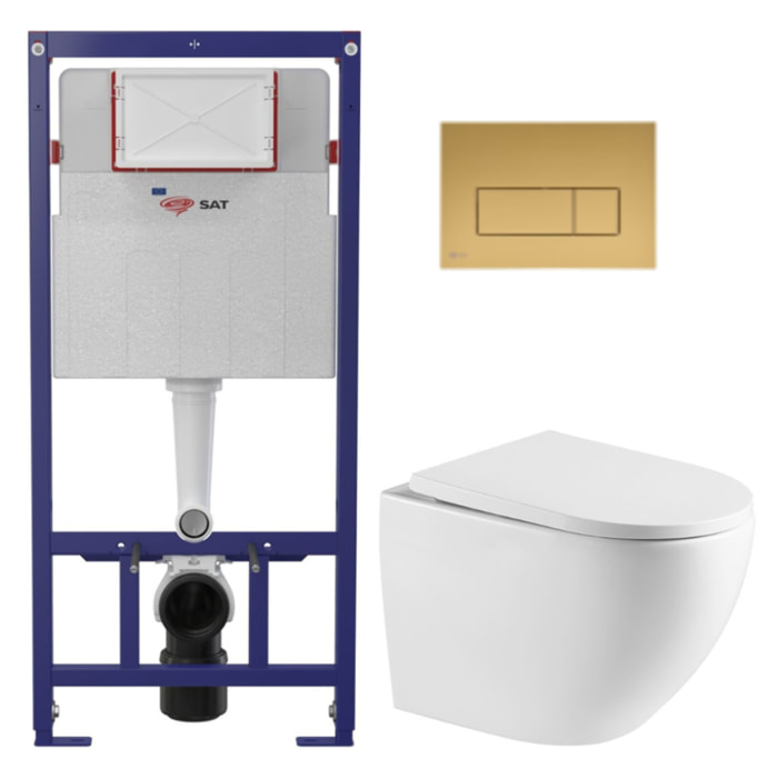 Pack WC bâti ECO 2L Swiss Aqua Technologies + WC suspendu Swiss Aqua Technologies + plaque or mat (STEST67WR06-FR)