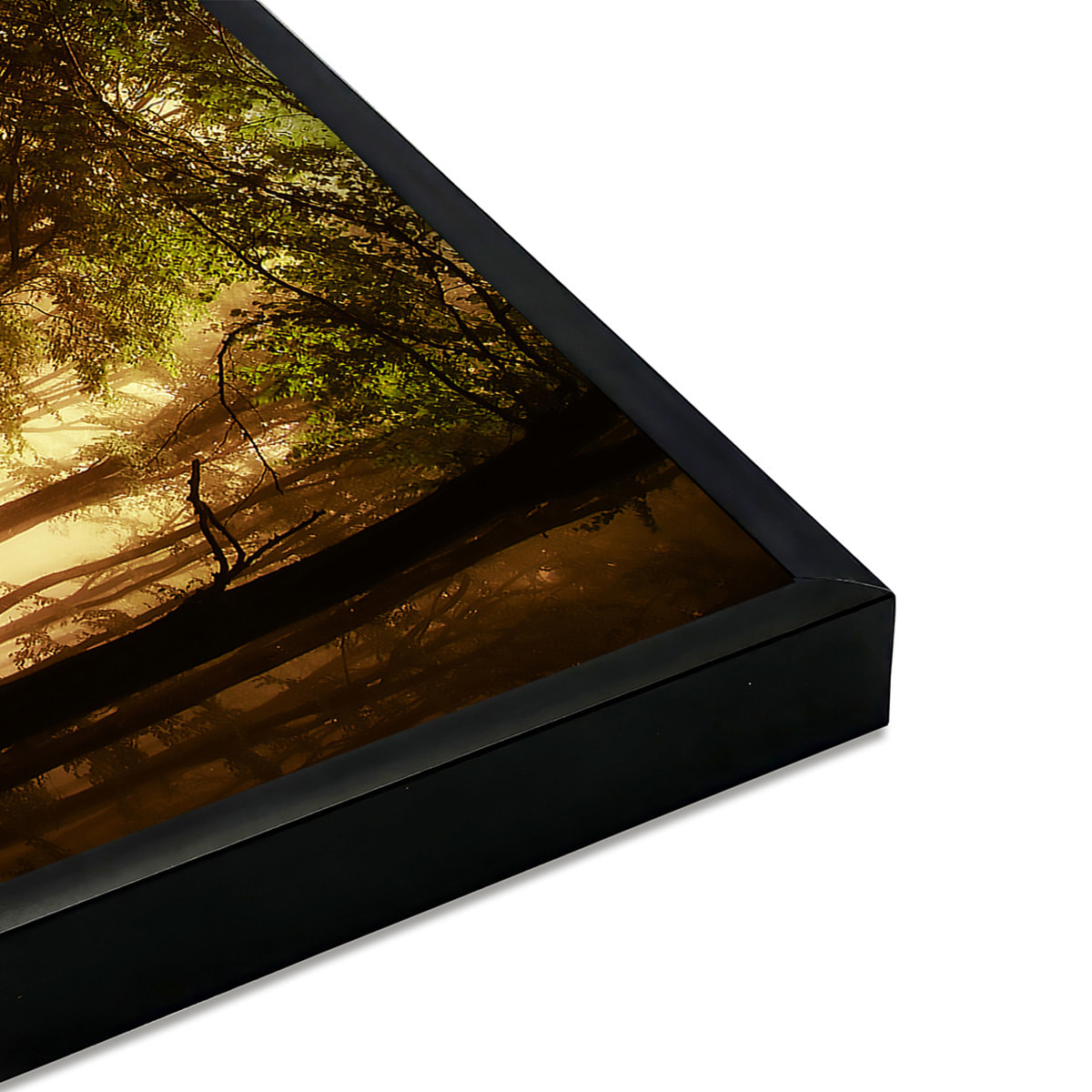 Affiche encadrée forêt dorée et chemin lumineux Affiche + cadre en métal - Noir