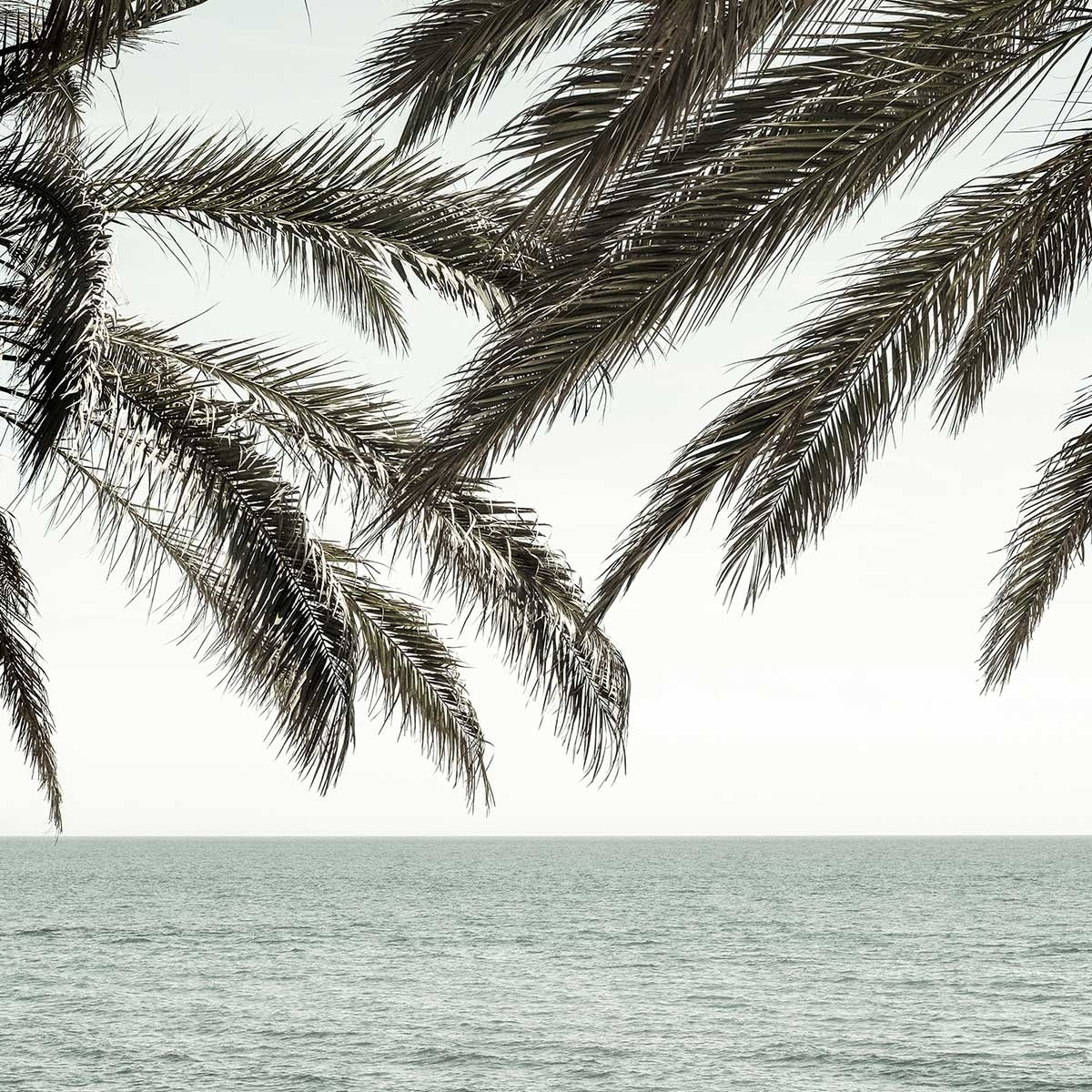 Poster plage tropicale secrète Affiche sous cadre noir