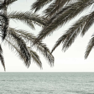 Poster plage tropicale secrète Affiche sous cadre noir