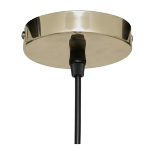 Suspension Phylas transparent H119cm