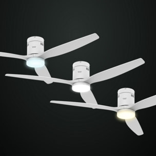 Ventilateur plafonnier TAURUS POLAR 3B PURE