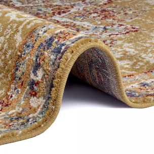 Tapis salon Rectangulaire Oriental