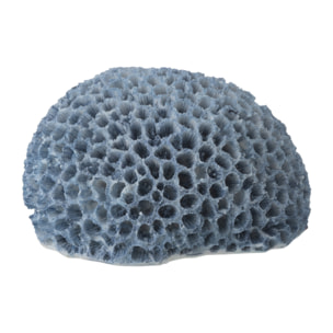 J-Line Corail décoratif - polyrésine - bleu clair - small - 3 pièces