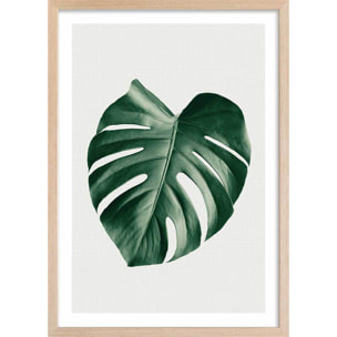 Affiche  monstera perfect Affiche + cadre en bois - Chêne