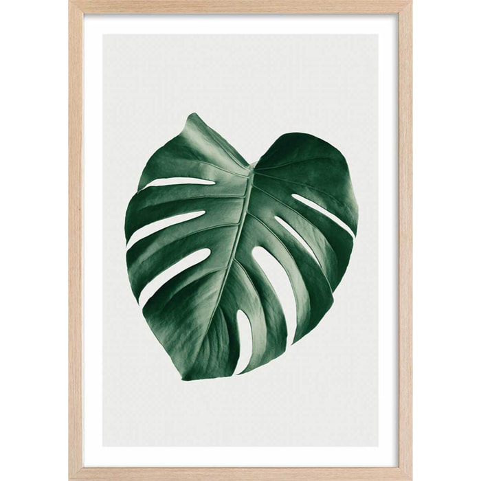 Affiche  monstera perfect Affiche + cadre en bois - Chêne