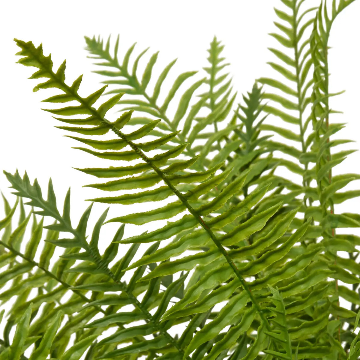 Plante artificielle Fougère Fleur de rose H80cm