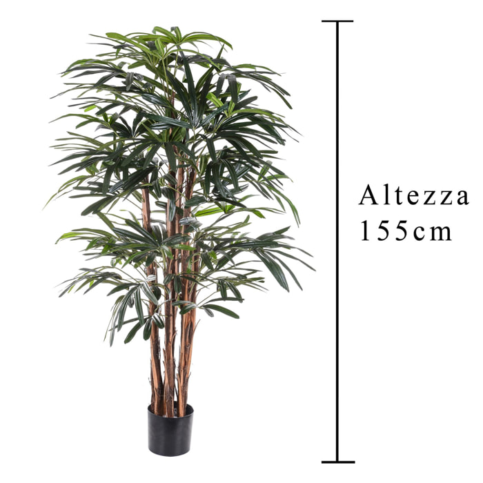 Rhapis Excelsa Con Vaso. Altezza 155 Cm - Pezzi 1 - 60X155X60cm - Colore: Verde - Bianchi Dino - Piante Artificiali