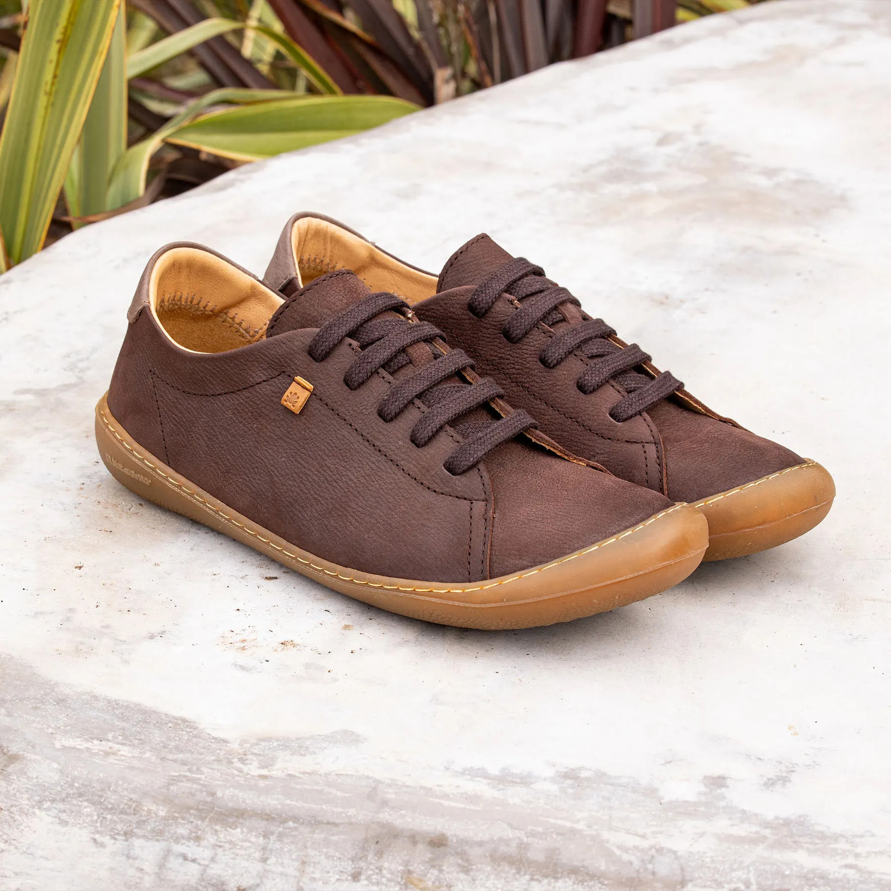 Zapatos N5770 PLEASANT BLACK/PAWIKAN color Black