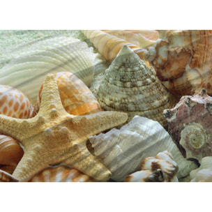 Copripiumino Stampa Digitale Disegno Bahamas Misura Letto Matrimoniale