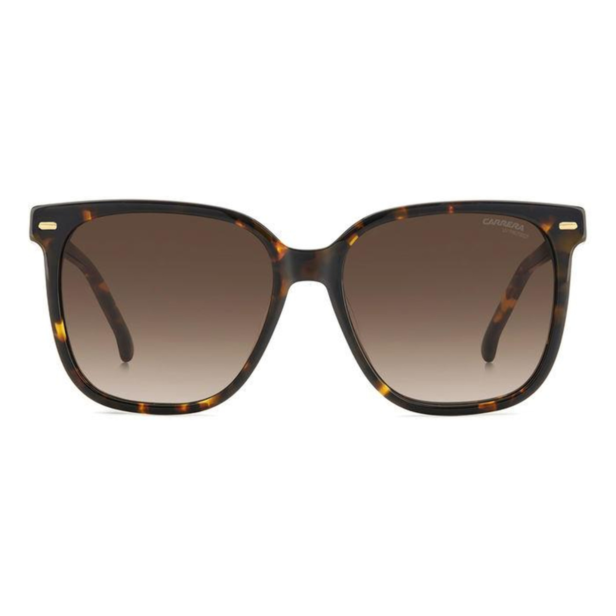 Gafas de Sol Carrera 3002/S 086 de Acetato Mujer 55 mm