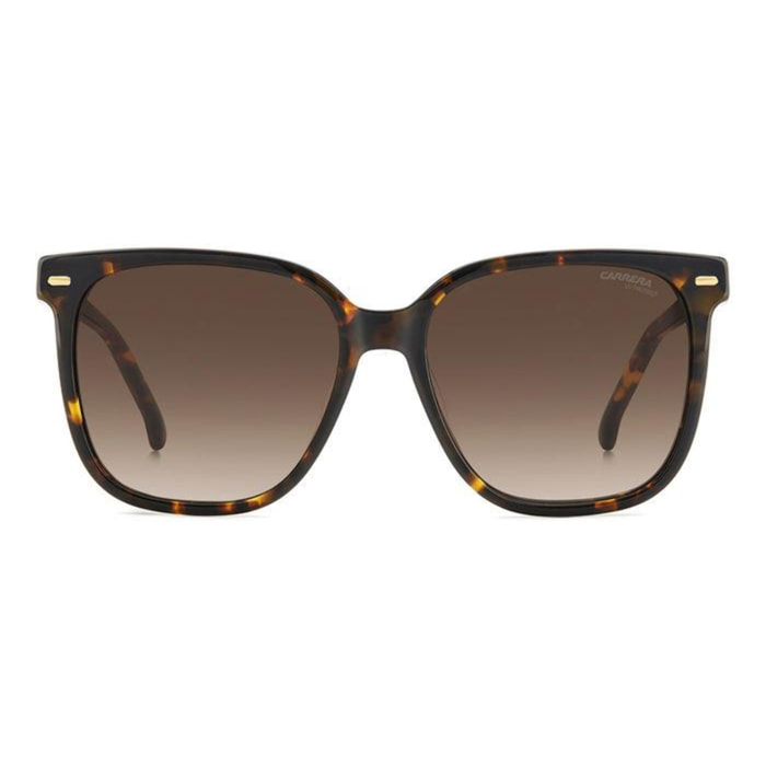 Gafas de Sol Carrera 3002/S 086 de Acetato Mujer 55 mm