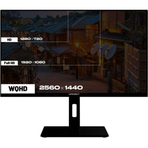 Ecran PC Gamer JAPANNEXT JN-IPS27G300Q-H 27" WQHD 300Hz IPS HDR10 AMD FreeSync