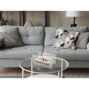 Cheminée éthanol de table en acier inoxydable