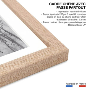 Affiche nature canopée en noir et blanc Affiche sous cadre bois
