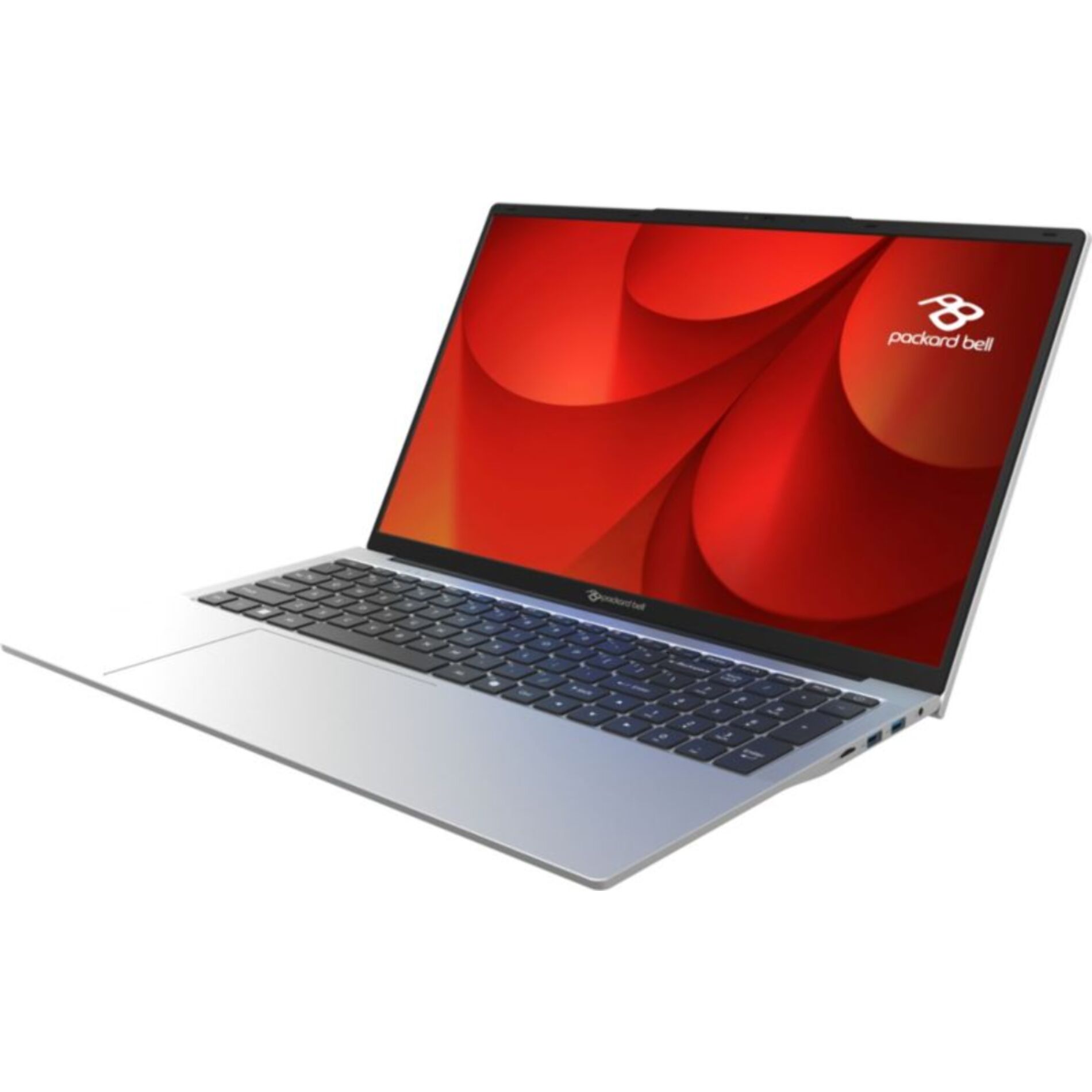 Ordinateur portable PACKARD BELL PB17-31P-C8XG 17,3" Intel N150 8 Go RAM SSD 128 Go