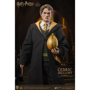 Harry Potter Cedric Diggory Deluxe 1/6 Af Action Figura Star Ace