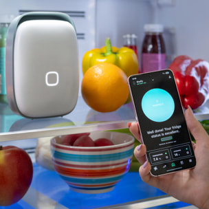 Shelfy, purificatore per frigorifero che riduce cattivi odori, batteri ed estende la freschezza del cibo