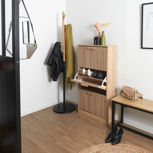 Meuble A Chaussure 3 Portes Klaus