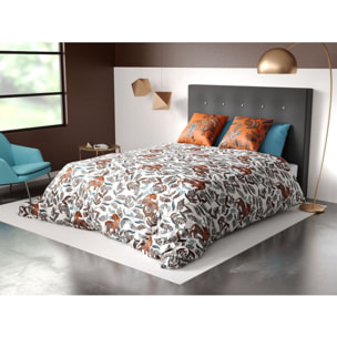 Parure De Couette 3pcs 100% Coton 57 Fils/cm2-savane