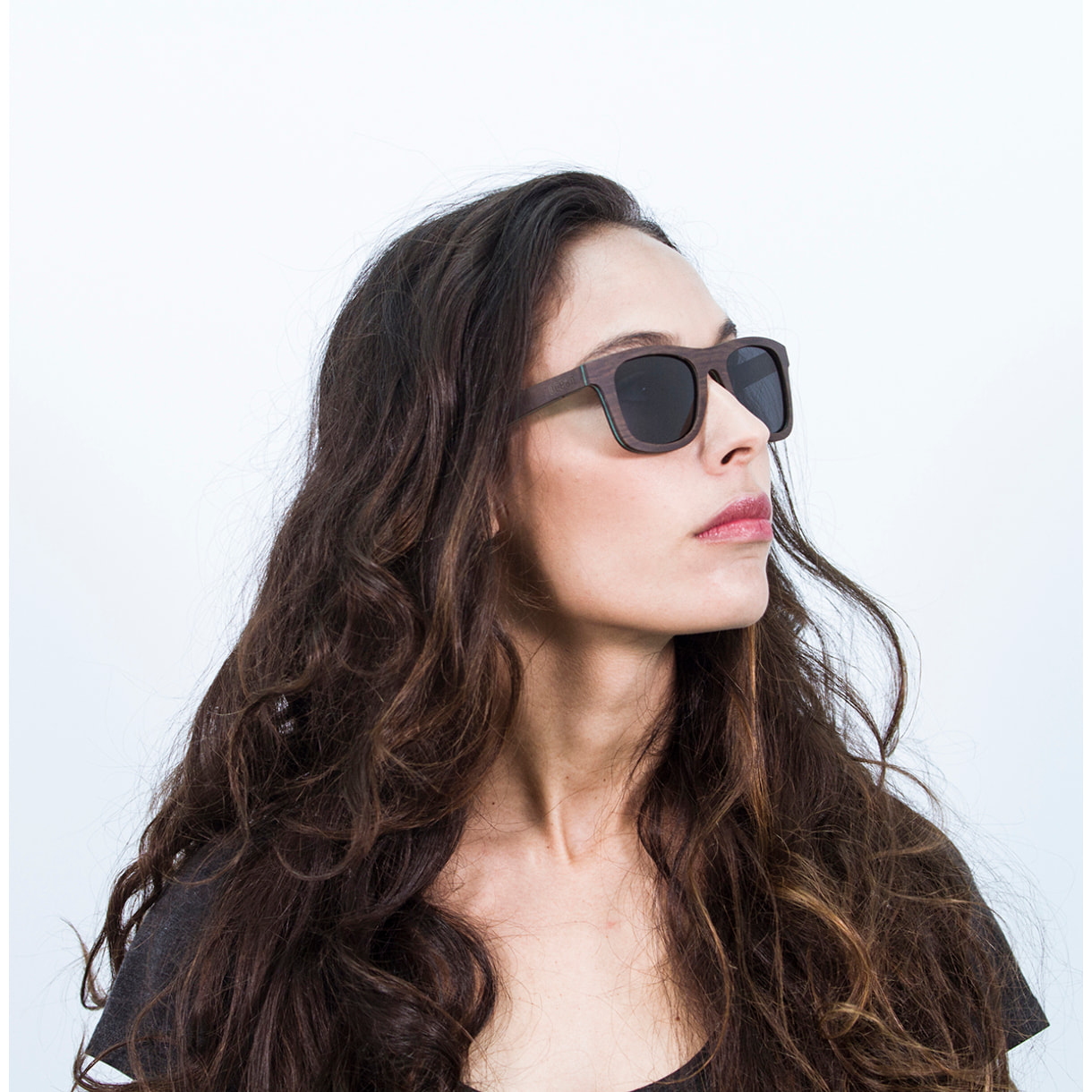 Gafas de sol OCEAN VENICE BEACH - De madera skate marrón oscuro con línea azul y / Ahumada