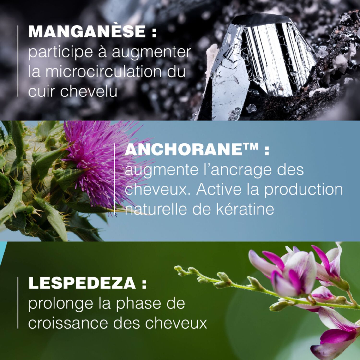 Ducray Sérum Antichute et Ancrage Anaphase Neoptide - Sérum Antichute et Ancrage 50ml