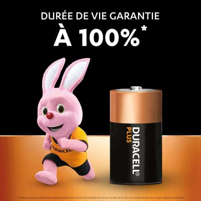 Pile DURACELL LR20 D x2 piles PLUS
