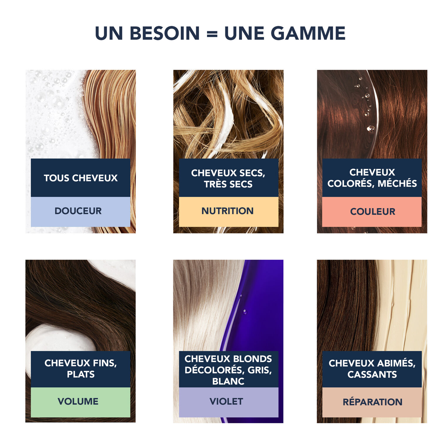 Nutrition - Shampooing Nourrissant