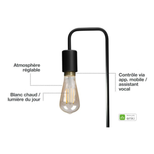 Ampoule LED connectée ESSENTIELB Filament Nuances de Blanc Edison E27