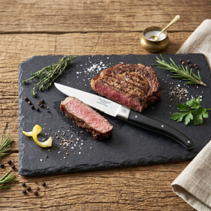 Pro - Coffret 6 couteaux steak lame dentée