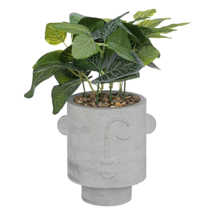 Plante artificielle en pot en ciment H26cm gris