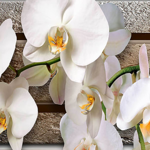 Affiche encadrée orchidées blanches zen Affiche + cadre en métal - Noir