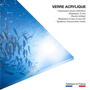 Tableau poisson Carangue Tableau plexiglas