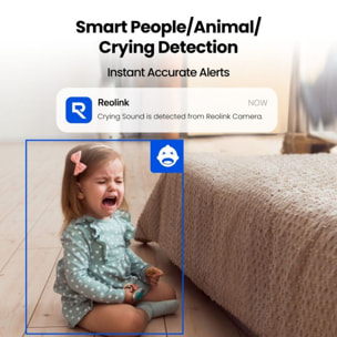 Caméra de surveillance REOLINK E321 2K