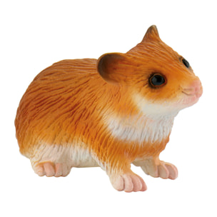 Animali di Casa/Criceto