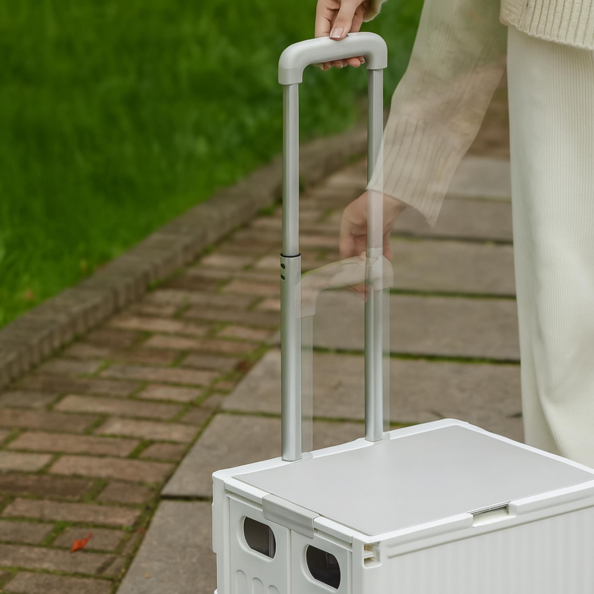Carrito de almacenaje Plegable 38 × 34 × 85,5 cm cm con 2 ruedas color Gris-32L