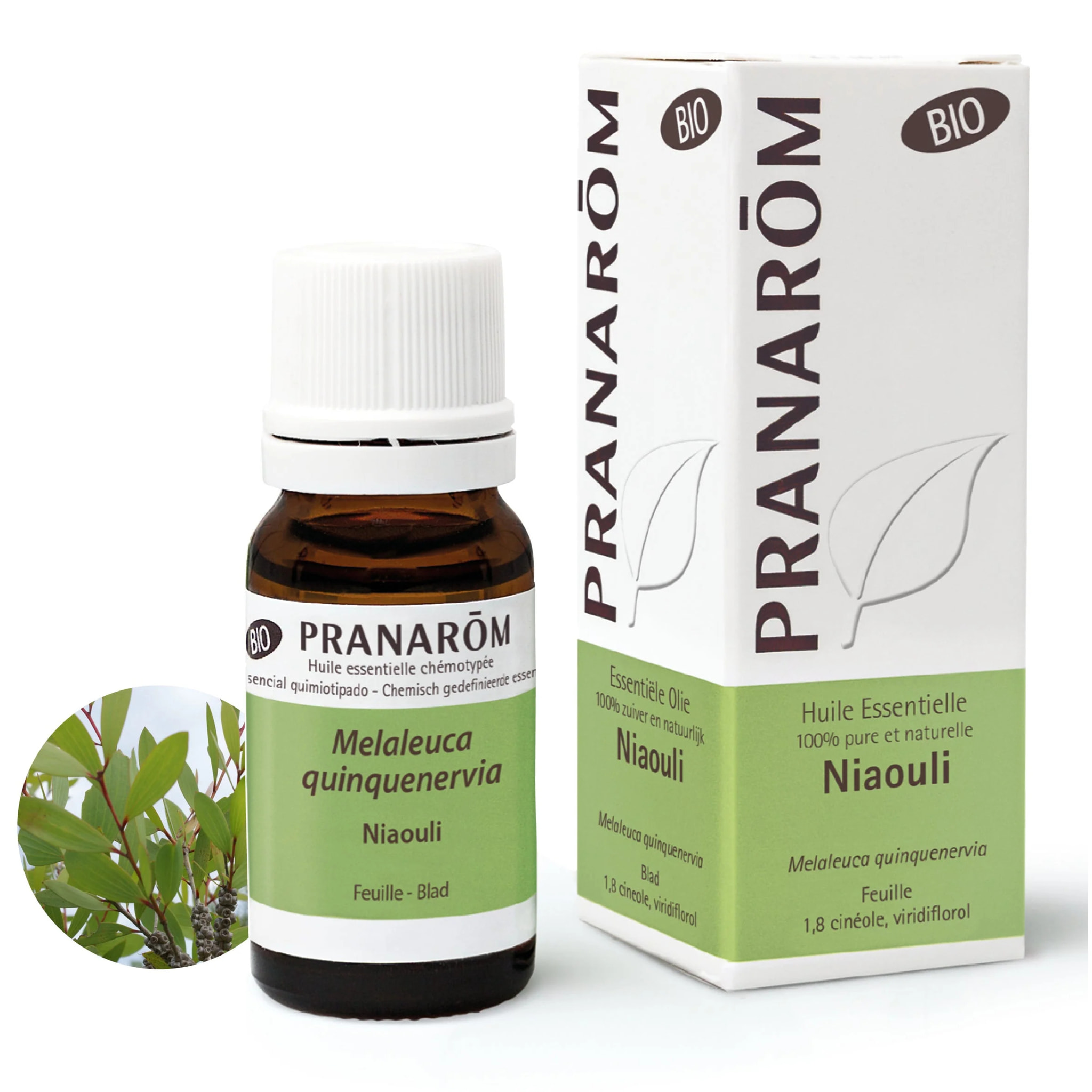 Pranarom - Huile Essentielle de Niaouli - Bio - 10 ml
