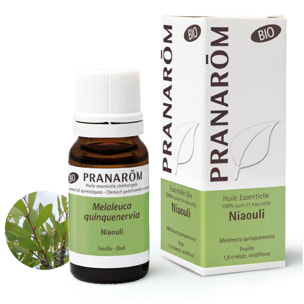Pranarom - Huile Essentielle de Niaouli - Bio - 10 ml