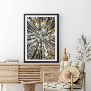 Affiche nature perspective des cîmes Affiche + cadre en bois - Noir