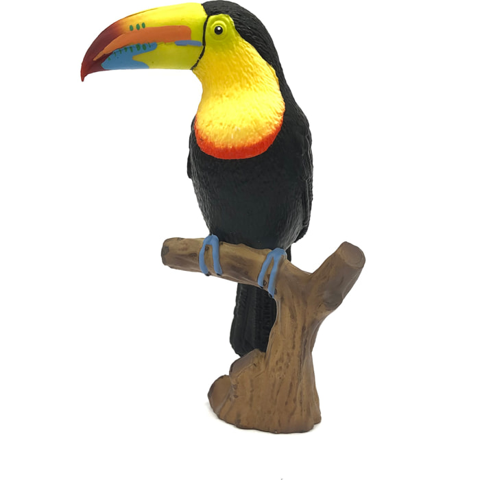Mondo degli Uccelli/Tucano dal becco a chiglia